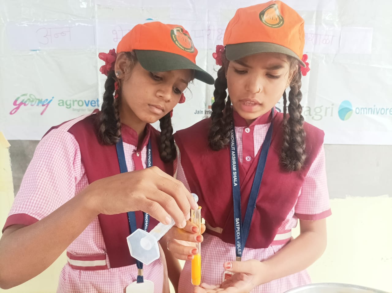 Food adulteration testing practical