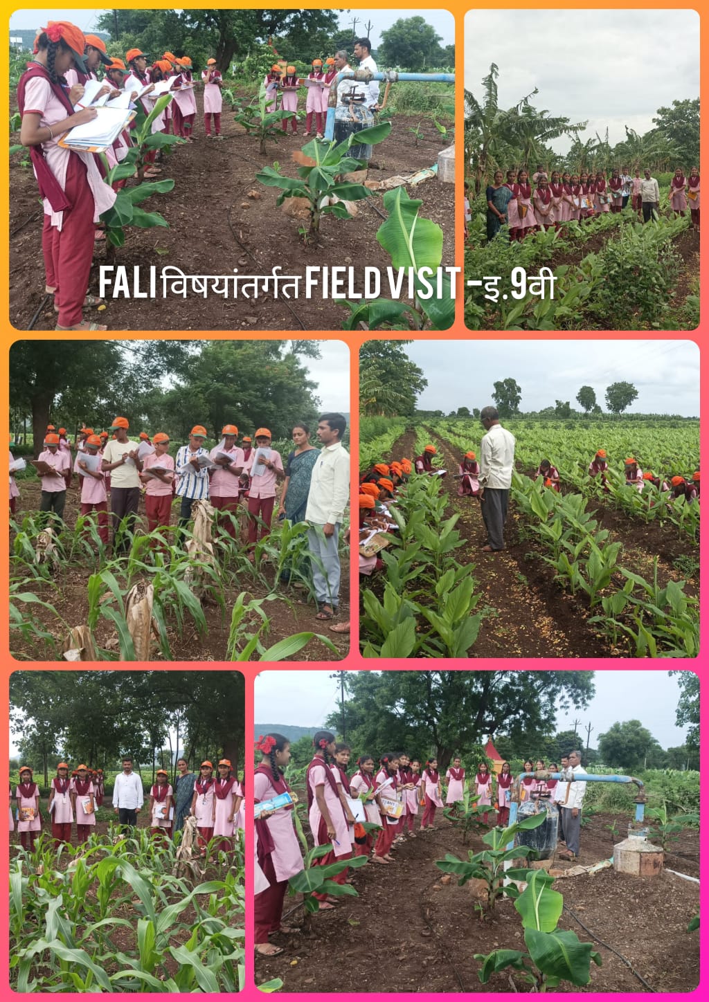 FALI subject field visit