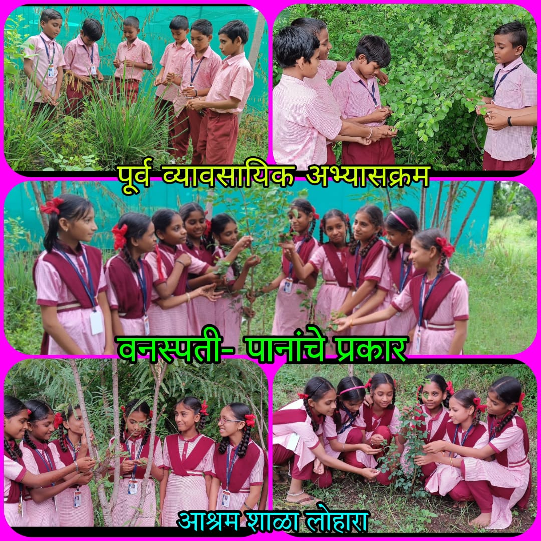 Types of plant leaves